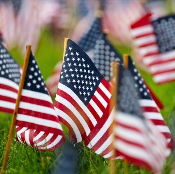 Photo of American flags